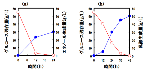 図２ オイルパーム幹の樹液を用いたエタノール及び乳酸生産