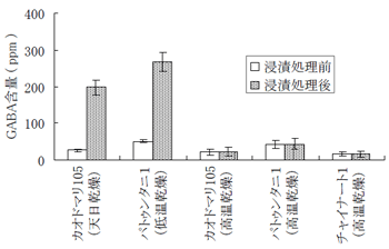 図４ タイにおける各種品種でのGABA生成能の検討