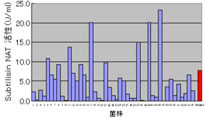 図３ ズブチリシンNAT活性 （赤色が対照株）