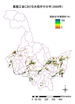 図3．衛星データより求めた黒龍江省における水稲作付分布 （2008年）