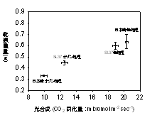 図3．オゾン処理が日本晴と耐性系統SL37