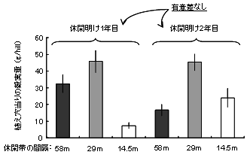 図2．休閑帯の間隔が異なる各圃場において休閑明け1年目と2年目の休閑帯で耕作したトウジンビエの収量