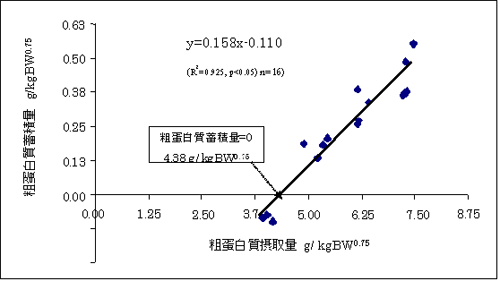 図1．タイ東北部における在来種育成牛の粗蛋白質摂取量と粗蛋白質蓄積量との関係