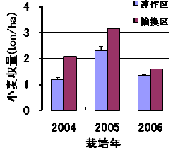 図3．農牧輪換区が小麦収量に与える影響．