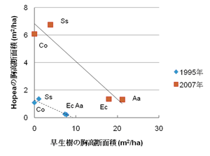 図4．早生樹とHopea の胸高断面積の関係（早生樹の植栽間隔2m×8m、間伐あり）．