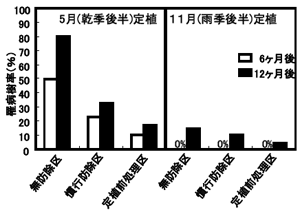 図3 植え付け時期とネオニコチノイド系殺虫剤施用方法の違いがキングマンダリンの生育初期のグリーニング病罹病樹率に及ぼす影響