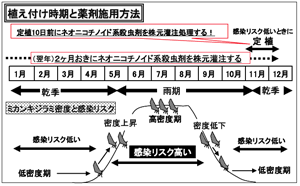 図4 グリーニング病感染リスクの季節変動を考慮した定植時期と薬剤施用による生育初期感染率低減技術