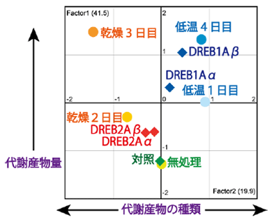 図1 代謝産物を用いた主成分分析