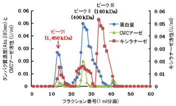 図1 P. curdlanolyticus B-6培養液のセルロース吸着画分からのゲルろ過クロマトグラフィー