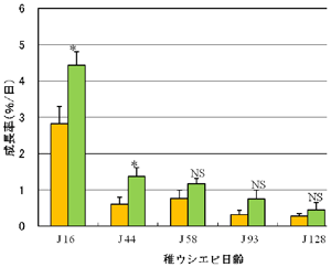 図2 各日齢における稚ウシエビ成長率 単一区（橙）、混合区（緑） *p<0.05、 ＮＳ：有意差なし