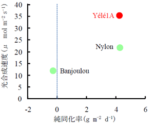 図1 完全冠水区の純同化率と光合成速度の関係