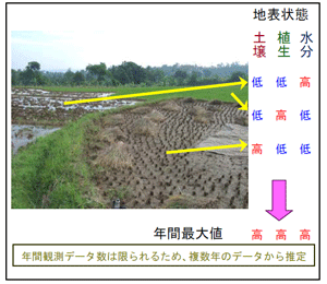 図1 水田上で同時に見られる多様な地表状態と想定される指標値の年間最大値