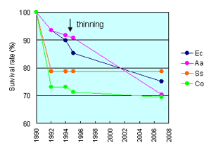 Fig. 1 Changes in survival rates of Hopea odorata planted in various fast-growing tree plantations.