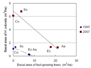 Fig. 3 Relationships between the basal area of fast-growing trees and those of H. odorata