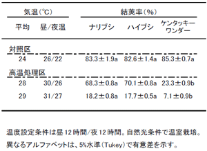 表2．高温下における「ナリブシ」の結莢率