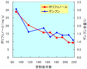 図３．シロサポテ「クシオ」果実発育期間中の ポリフェノールとデンプンの推移