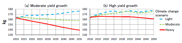 Fig. 2. Per capita rice consumption by yield scenario and climate change scenario.
