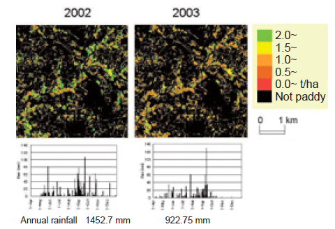 Fig. 2. Estimated rice yield at the simulation site.