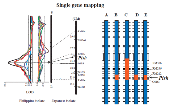 Fig. 1. and Fig. 2.