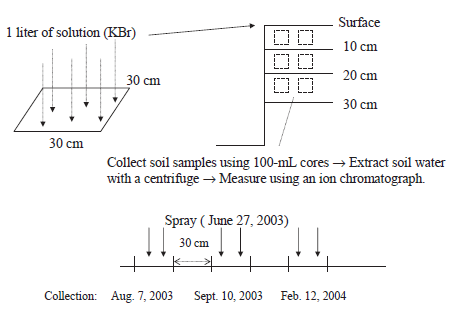 Fig. 1. Application and collection of bromide.