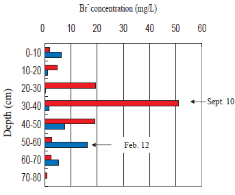 Fig. 2 Br- concentration in soil water.