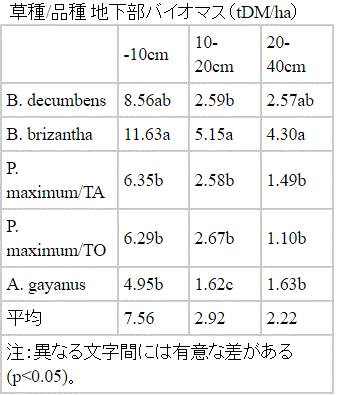 表2．多肥下の各層別の地下部バイオマス