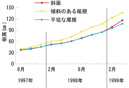 図2 作業道に植物栽された苗木の樹高成長