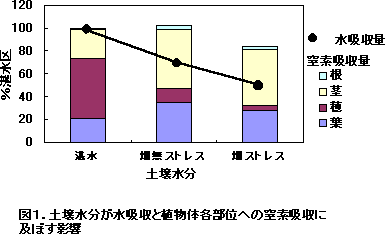 図1 土壌水分が水吸収と植物体各部位への窒素吸収に及ぼす影響