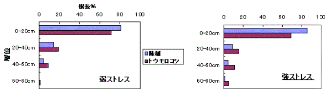 図3 水ストレスが陸稲とトウモロコシの土壌層位中の根長分布に及ぼす影響