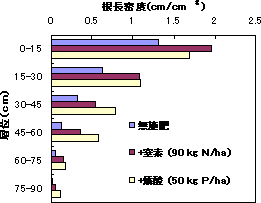 図4 酸性土において窒素・燐酸施肥が根長密度に及ぼす影響