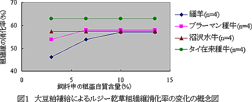 図1 大豆粕補給によるルジー乾草粗繊維消化率の変化の概念図