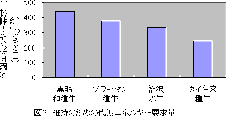 図2 維持のための代謝エネルギー要求量