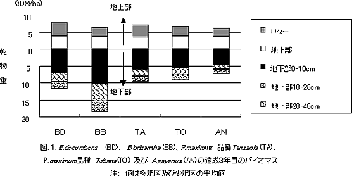 図1 B.decumbens(BD)、B.brizantha(BB)、P.maximum品種 Tanzania(TA)、P.maximum品種 Tobiata(TO)及び