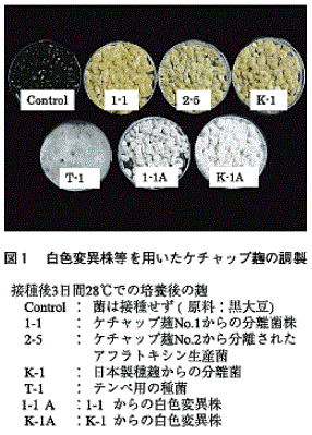 図1 白色変異株等を用いたケチャップ麹の調製