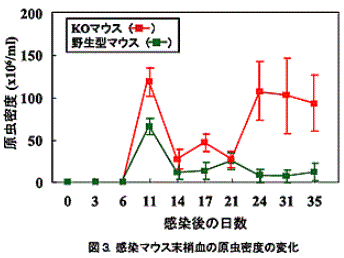 図3 感染マウス末梢血の原虫密度の変化