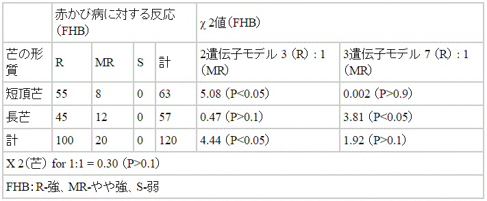 表1（延岡坊主小麦x蘇麦3号）F1由来の半数体倍加系統における赤かび病に対する反応と芒の形質の関係