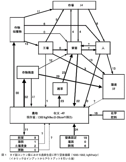 図1 タイ国コンケン県における農業生産に伴う窒素循環（1990-1992, kgN/ha/yr）