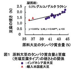 図1 原料大豆のタンパク質含量と豆腐（充填豆腐タイプ）の硬さとの関係