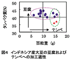 図4 インドネシア産大豆の豆腐およびテンペへの加工適性