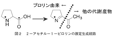 図2