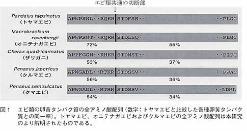 図1