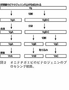 図2