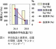 図1