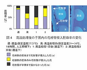 図4