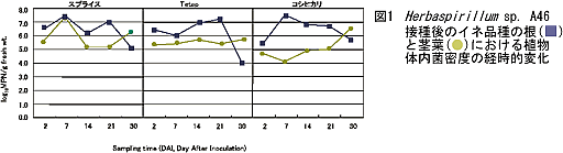 図1