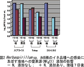 図2