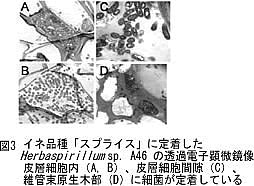 図3