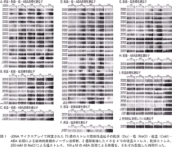 図1