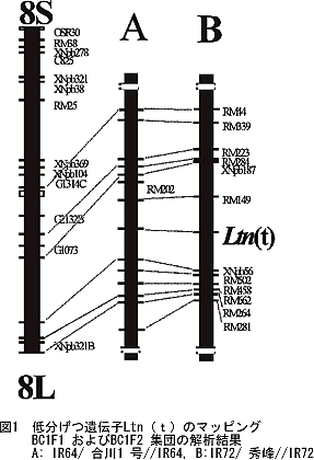 図1