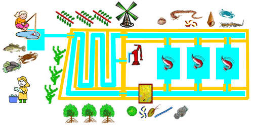 A model of recycling-oriented aquaculture system